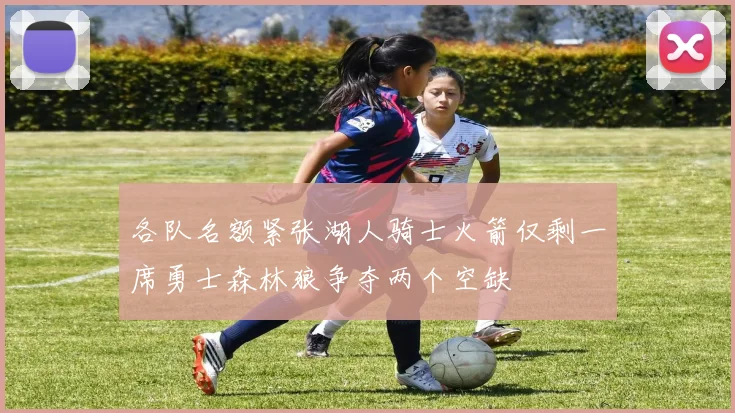 各队名额紧张湖人骑士火箭仅剩一席勇士森林狼争夺两个空缺