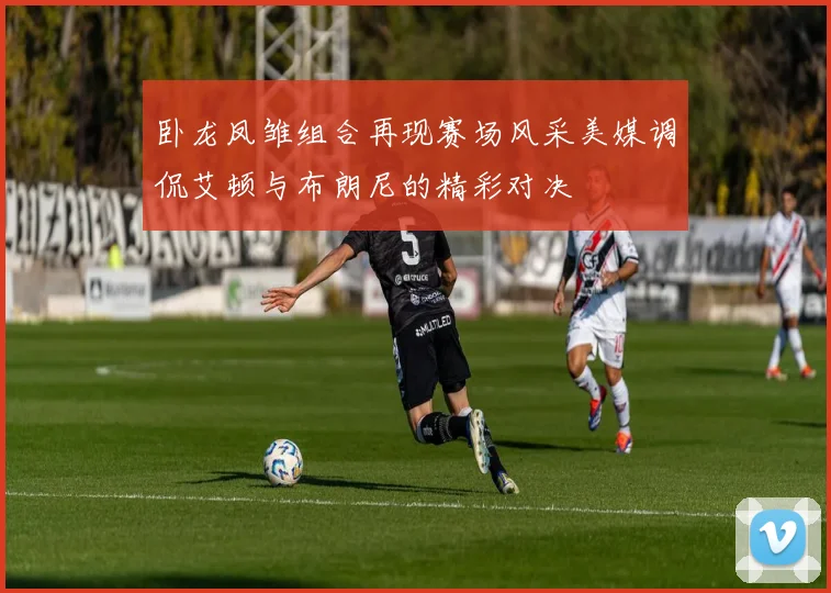 卧龙凤雏组合再现赛场风采美媒调侃艾顿与布朗尼的精彩对决
